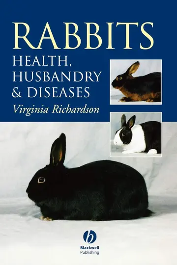 Cover of Rabbits