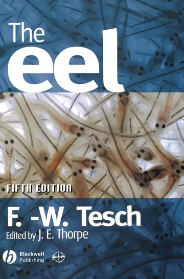 Cover of The Eel