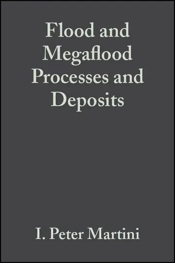 Cover of Flood and Megaflood Processes and Deposits