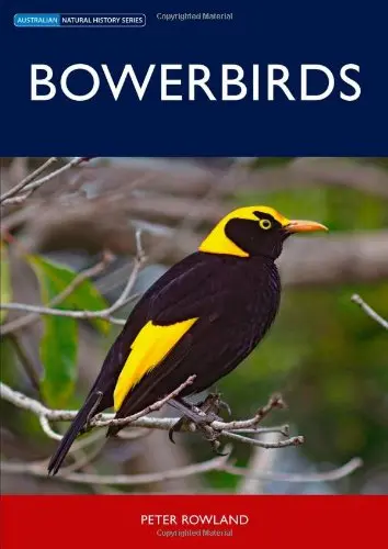 Cover of Bowerbirds