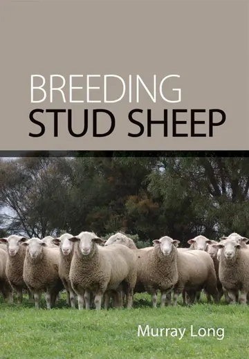 Cover of Breeding Stud Sheep