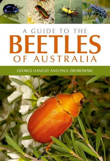 Cover of A Guide to the Beetles of Australia