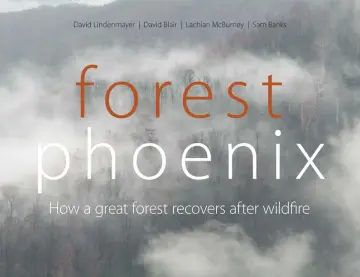 Cover of Forest Phoenix