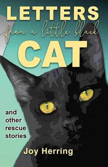 Cover of Letters from a Little Black Cat