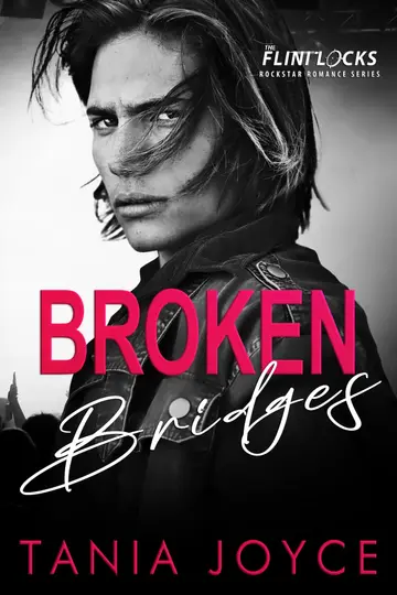 Cover of Broken Bridges