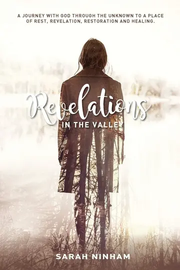 Cover of Revelations in the Valley