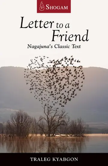 Cover of Letter to a Friend