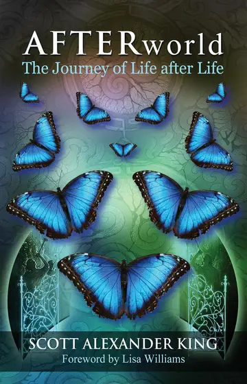 Cover of Afterworld