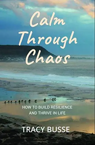 Cover of Calm Through Chaos