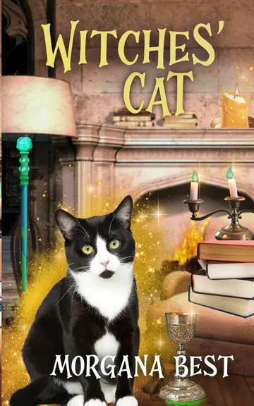 Cover of Witches' Cat
