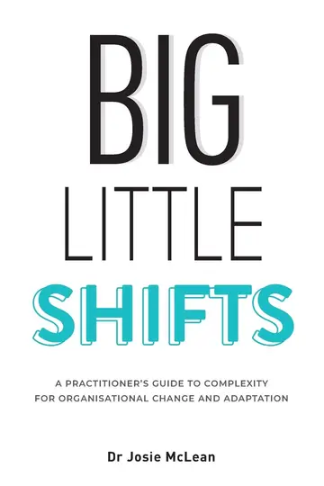 Cover of Big Little Shifts