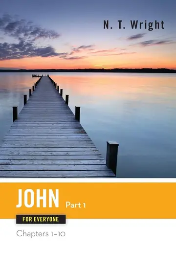 Cover of John for Everyone