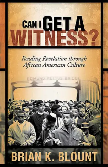 Cover of Can I Get a Witness?