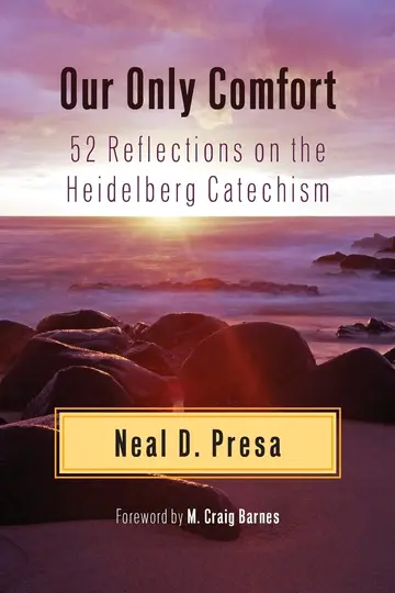 Cover of Our Only Comfort
