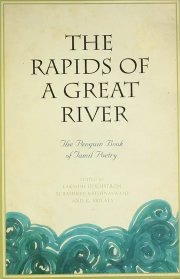 Cover of The Rapids of a Great River