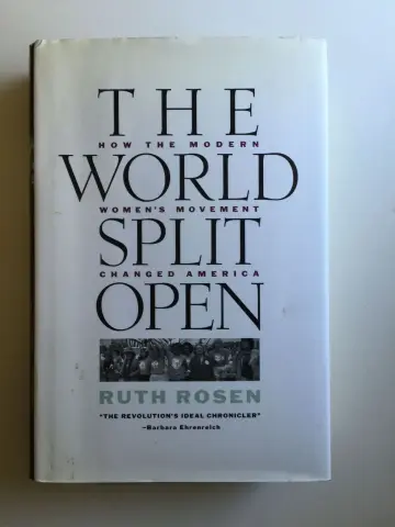 Cover of The World Split Open