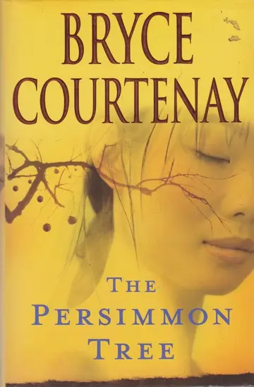 Cover of The Four Fires