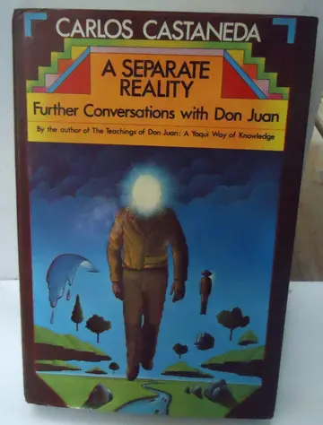 Cover of Separate Reality