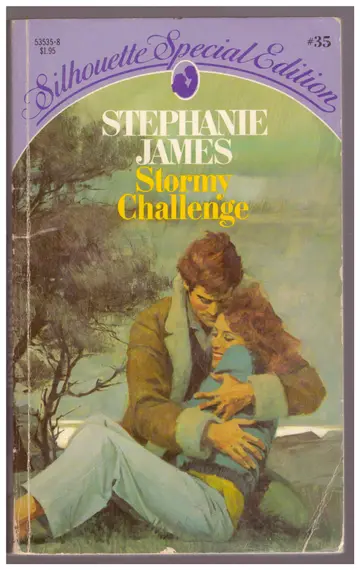 Cover of Stormy Challenge