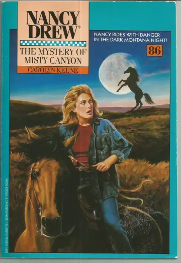 Cover of The MYSTERY OF MISTY CANYON