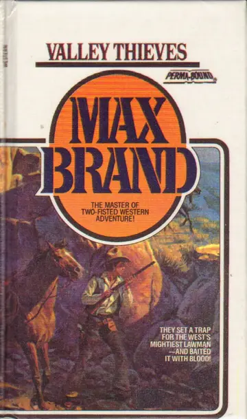 Cover of Valley Thieves