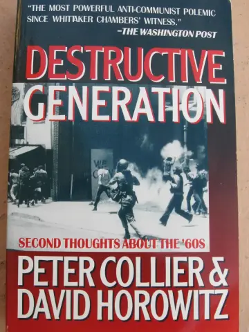 Cover of Destructive Generation