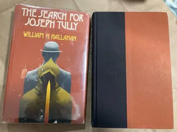 Cover of The search for Joseph Tully