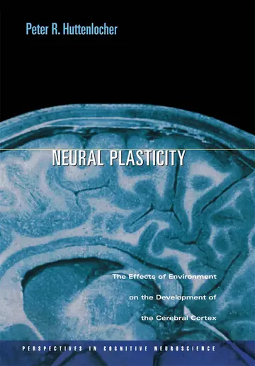 Cover of Neural Plasticity