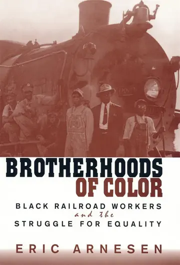 Cover of Brotherhoods of Color
