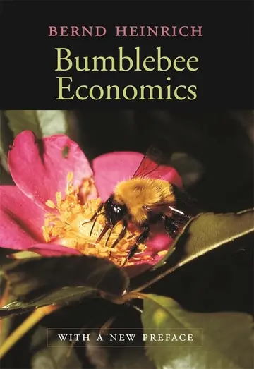 Cover of Bumblebee Economics