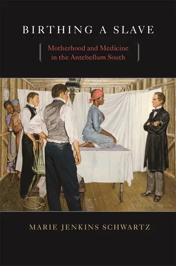 Cover of Birthing a Slave – Motherhood and Medicine in the Antebellum South