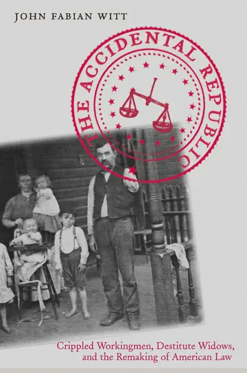 Cover of The Accidental Republic