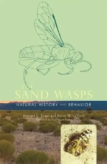 Cover of The Sand Wasps