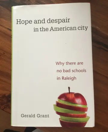 Cover of Hope and Despair in the American City