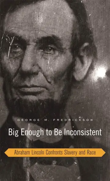Cover of Big Enough to Be Inconsistent