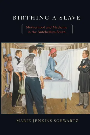 Cover of Birthing a Slave