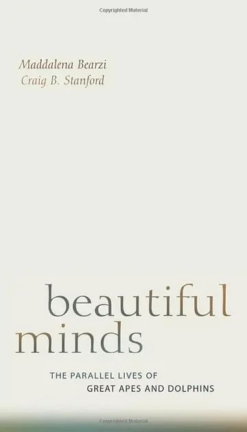Cover of Beautiful Minds