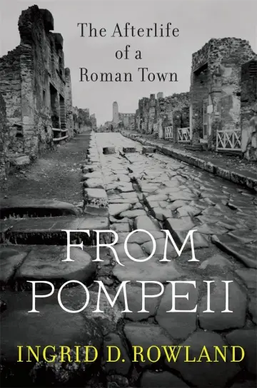 Cover of From Pompeii – The Afterlife of a Roman Town