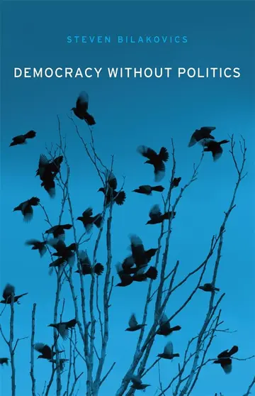 Cover of Democracy Without Politics