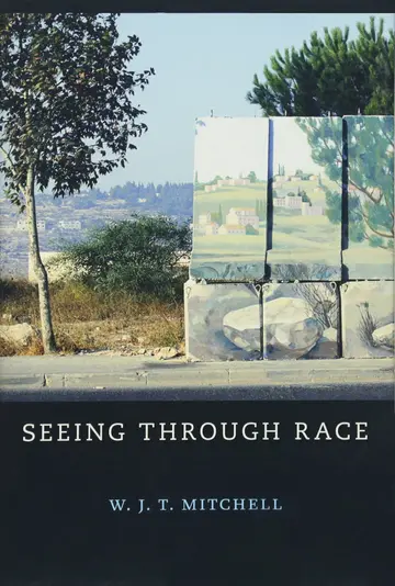 Cover of Seeing Through Race