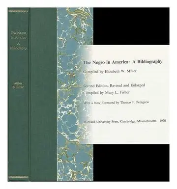 Cover of Negro in America