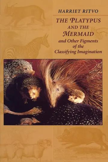 Cover of The Platypus and the Mermaid