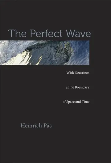 Cover of The Perfect Wave