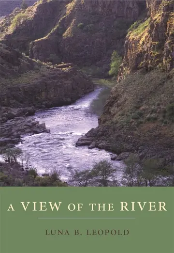Cover of A View of the River