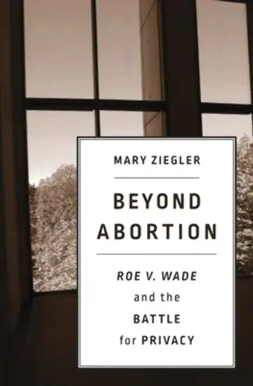 Cover of Beyond Abortion