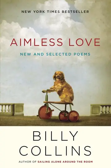 Cover of Aimless Love