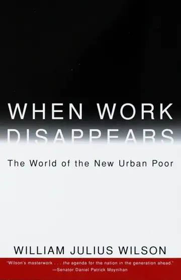 Cover of When Work Disappears