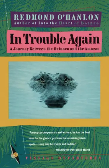 Cover of In Trouble Again