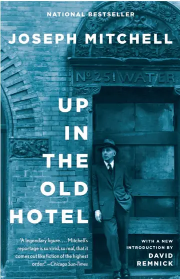 Cover of Up in the Old Hotel