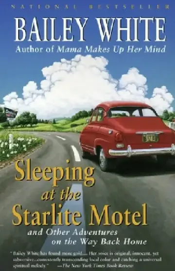 Cover of Sleeping at the Starlite Motel